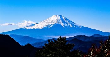 １位と２位には、知名度にとても大きな差が出てしまう。