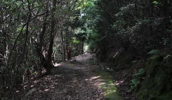 山で遭難する人は多い。山はとても危険な場所ということを認識する