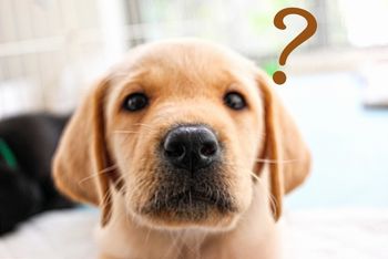 難しい言葉を使いたがる人がいますけど、人が分かる言葉で書くことが一番大切。