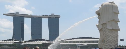 旅行にも興味がない。シンガポールは良かったけど、旅行自体にあまり面白みを感じない