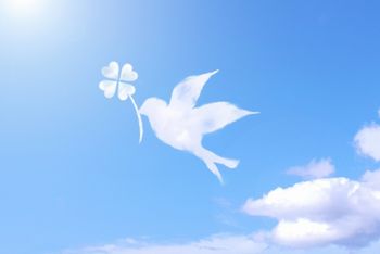 同じ出来事でも、不幸に感じるか、幸せに感じるかは人それぞれ。